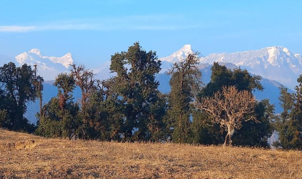 Dhacha Bugyal meadow ridge