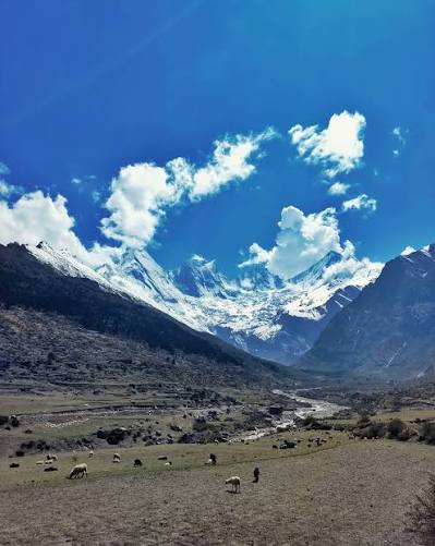 High Himalayan trekking route to a glacier basecamp